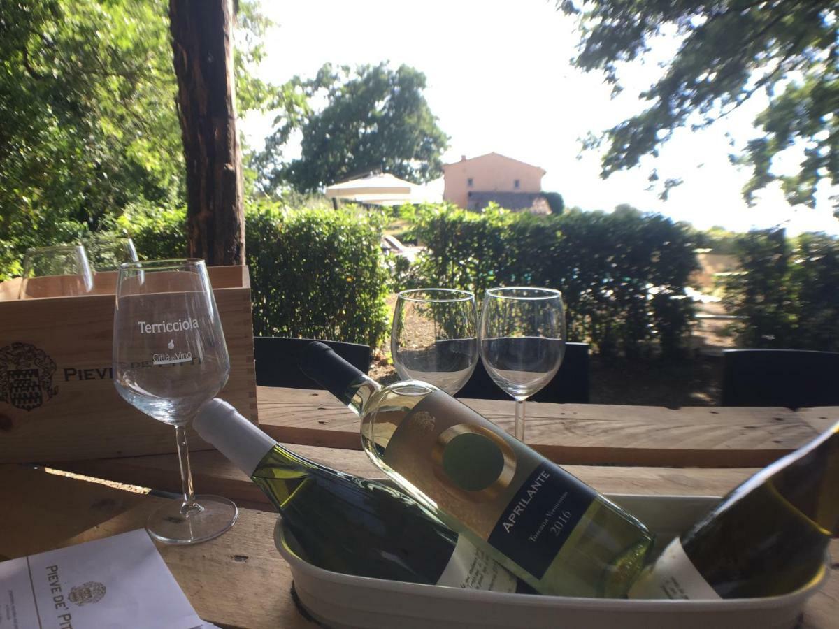 Agriturismo Pieve De Pitti Terricciola Ngoại thất bức ảnh
