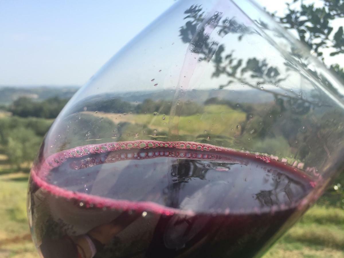 Agriturismo Pieve De Pitti Terricciola Ngoại thất bức ảnh