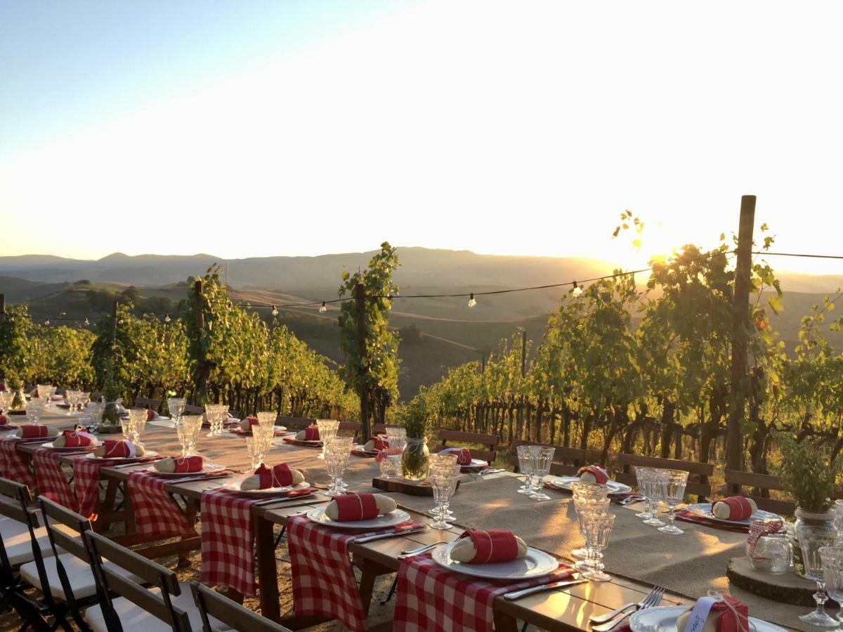 Agriturismo Pieve De Pitti Terricciola Ngoại thất bức ảnh