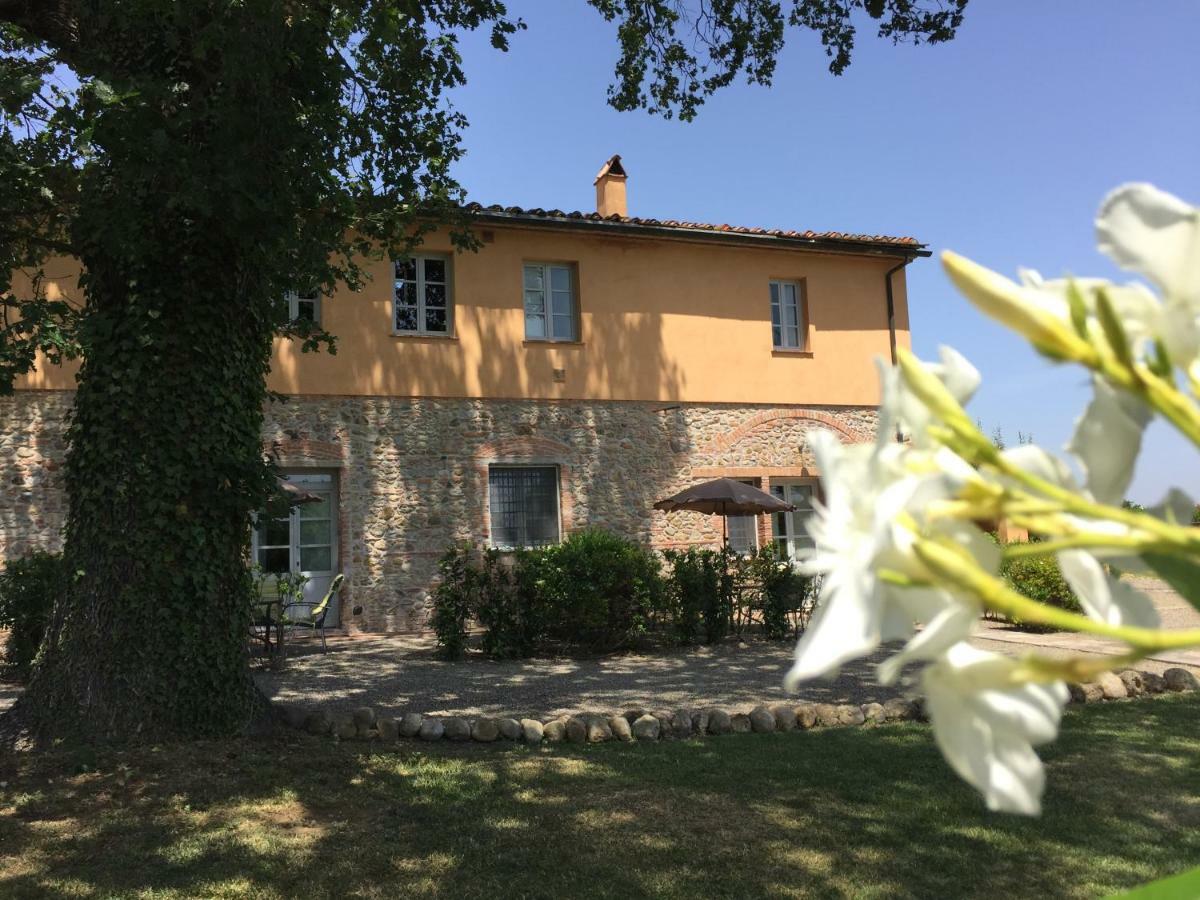 Agriturismo Pieve De Pitti Terricciola Ngoại thất bức ảnh