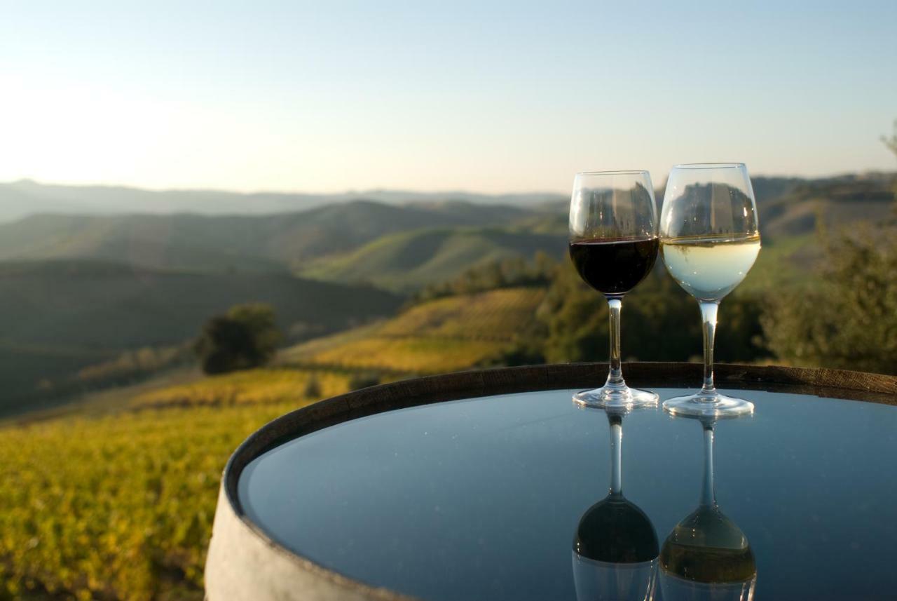 Agriturismo Pieve De Pitti Terricciola Ngoại thất bức ảnh