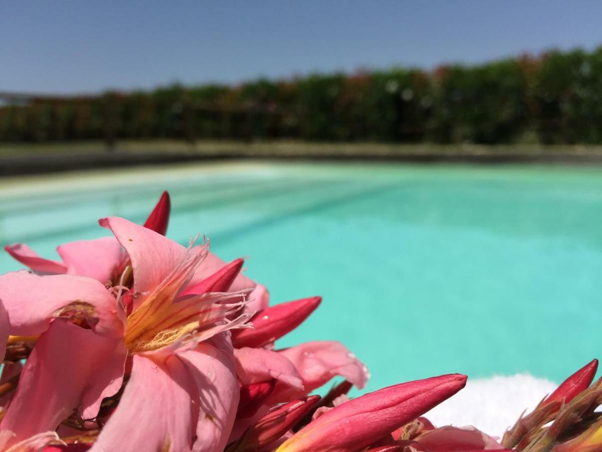 Agriturismo Pieve De Pitti Terricciola Ngoại thất bức ảnh