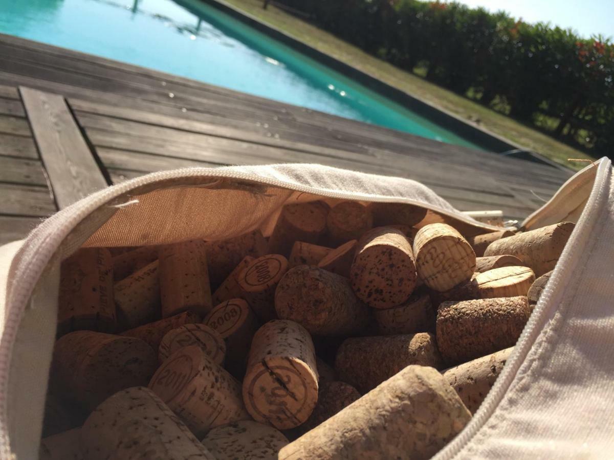 Agriturismo Pieve De Pitti Terricciola Ngoại thất bức ảnh