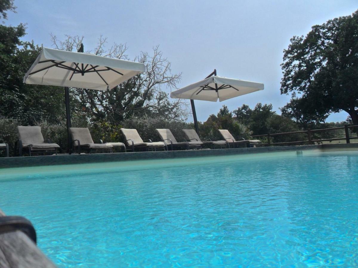 Agriturismo Pieve De Pitti Terricciola Ngoại thất bức ảnh
