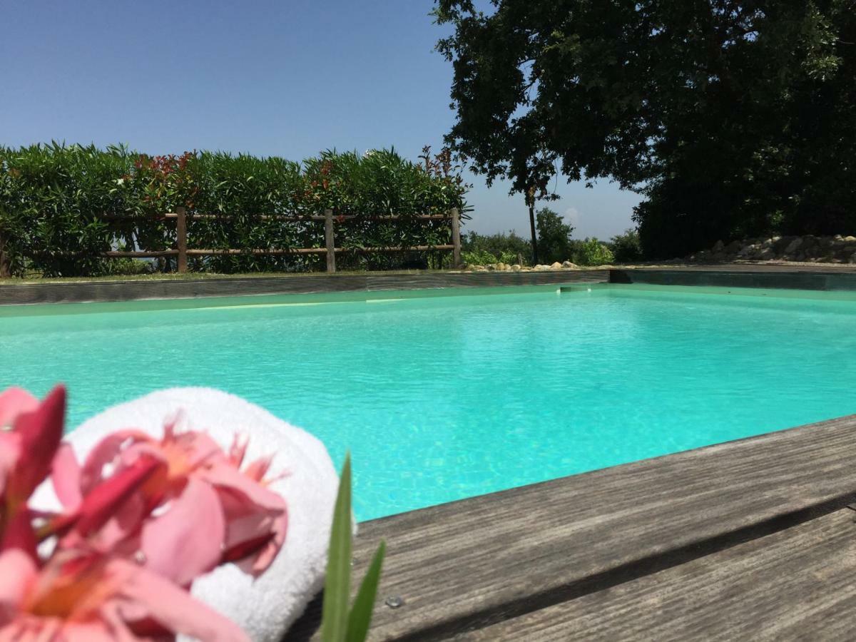Agriturismo Pieve De Pitti Terricciola Ngoại thất bức ảnh